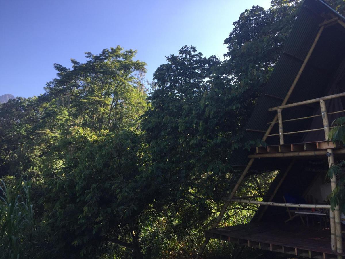 San Antonio del Tequendama Glamping El Arbol En La Casa 빌라 외부 사진