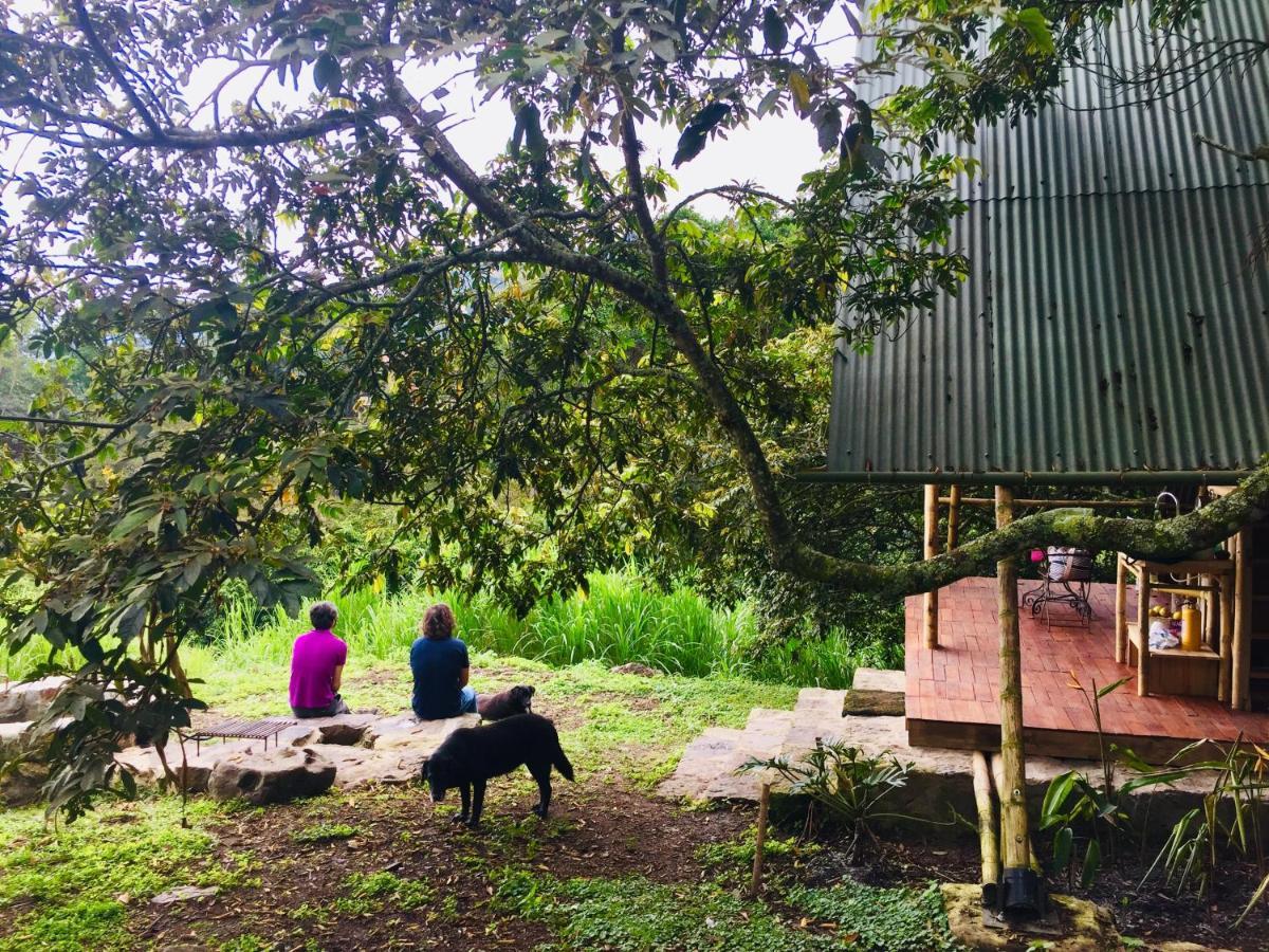 San Antonio del Tequendama Glamping El Arbol En La Casa 빌라 외부 사진