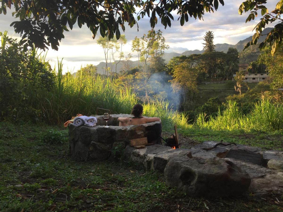 San Antonio del Tequendama Glamping El Arbol En La Casa 빌라 외부 사진