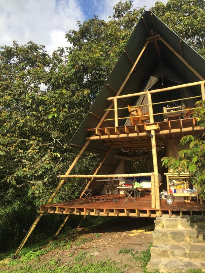 San Antonio del Tequendama Glamping El Arbol En La Casa 빌라 외부 사진