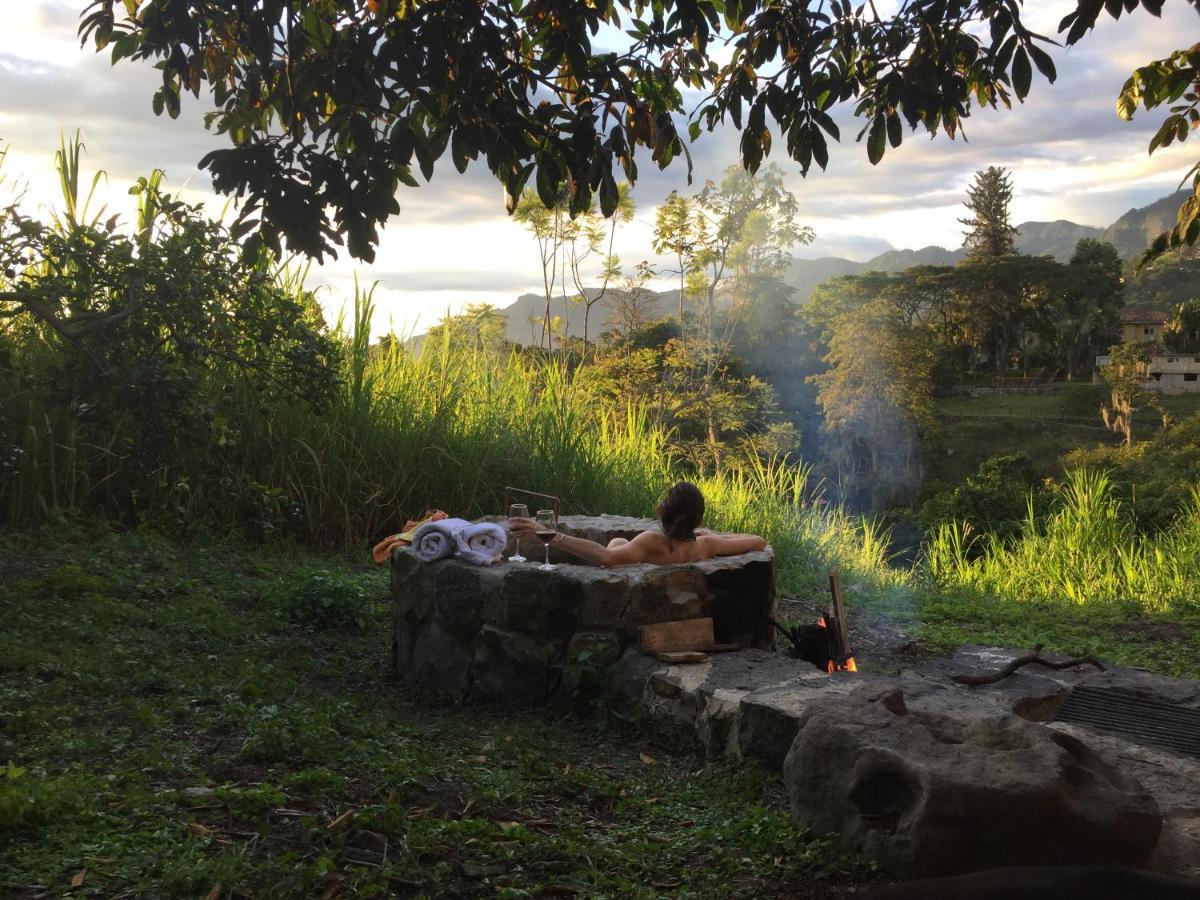 San Antonio del Tequendama Glamping El Arbol En La Casa 빌라 외부 사진