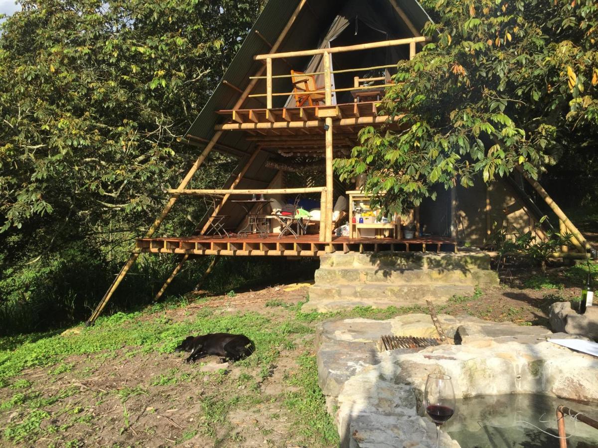 San Antonio del Tequendama Glamping El Arbol En La Casa 빌라 외부 사진