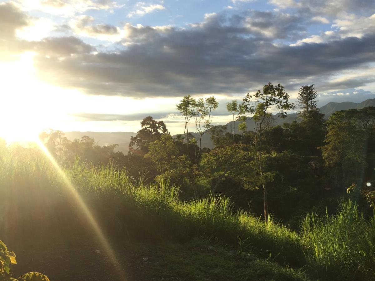 San Antonio del Tequendama Glamping El Arbol En La Casa 빌라 외부 사진