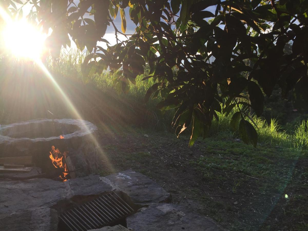 San Antonio del Tequendama Glamping El Arbol En La Casa 빌라 외부 사진