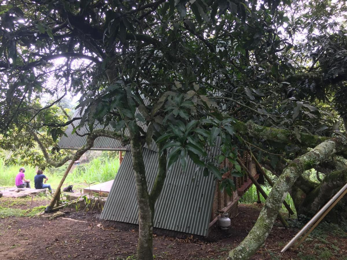 San Antonio del Tequendama Glamping El Arbol En La Casa 빌라 외부 사진